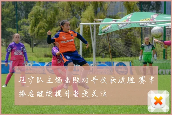 辽宁队主场击败对手收获连胜 赛季排名继续提升备受关注