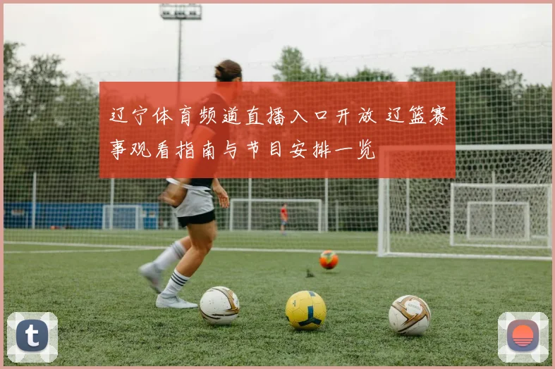 辽宁体育频道直播入口开放 辽篮赛事观看指南与节目安排一览