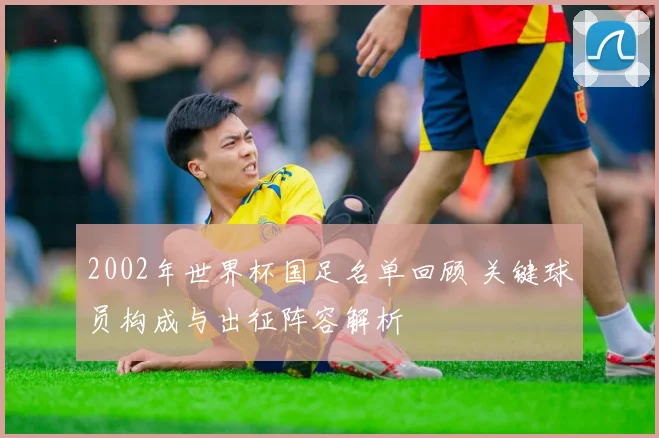 2002年世界杯国足名单回顾 关键球员构成与出征阵容解析