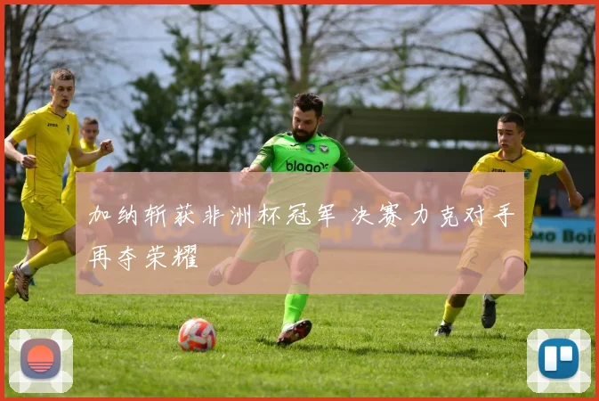加纳斩获非洲杯冠军 决赛力克对手再夺荣耀