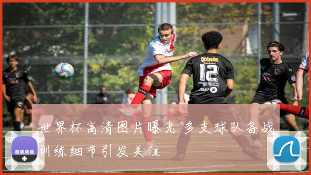 世界杯高清图片曝光 多支球队备战训练细节引发关注
